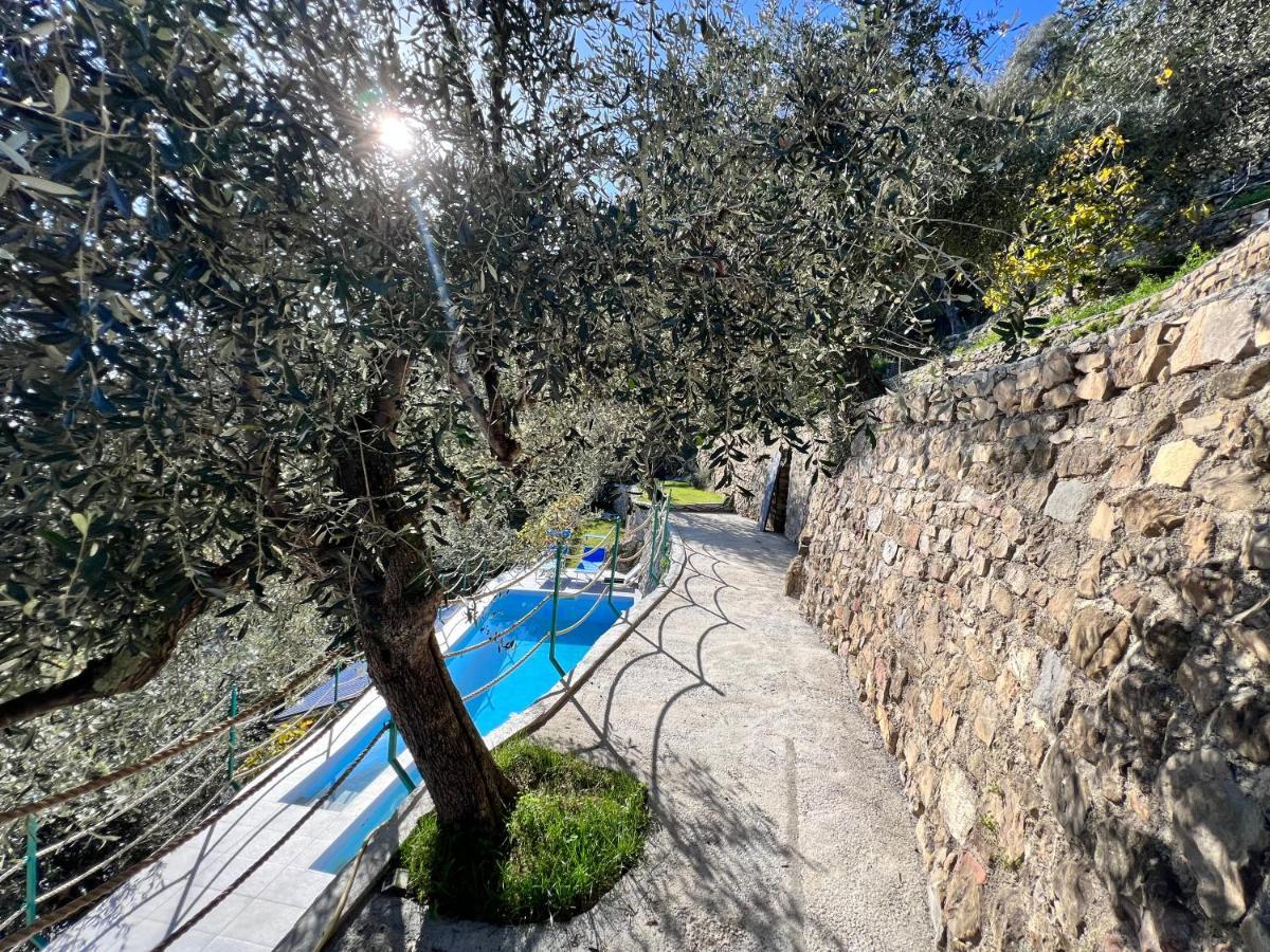 Villa Di Campagna Con Vista Mare 5 Camere Da Letto Pampara Buitenkant foto